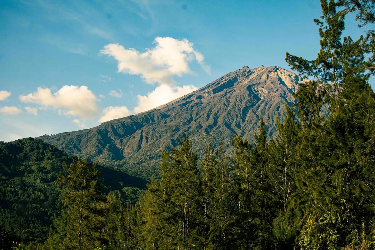 De hellingen van Mount Meru boven een groen bos onder verspreide wolken
